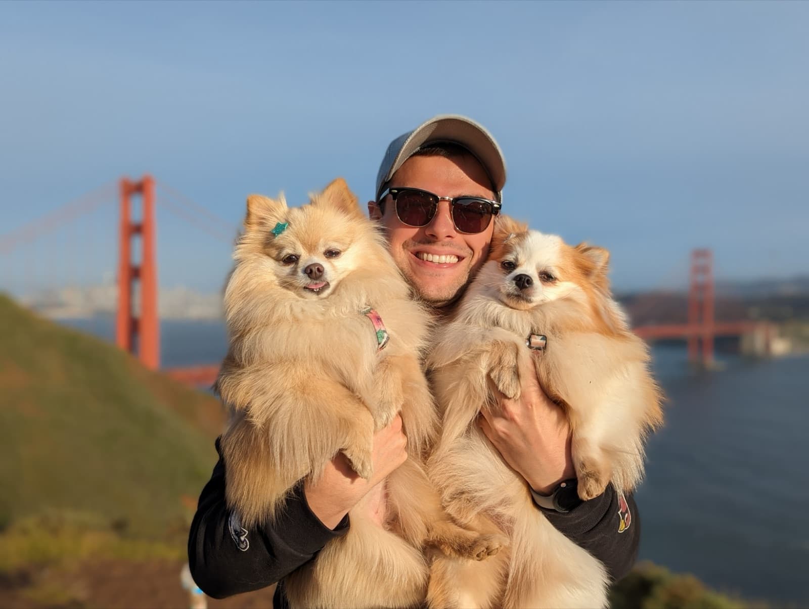 With the dogs, at the Golden Gate